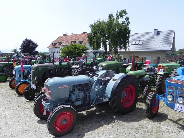 TT Steinhaus_061.JPG